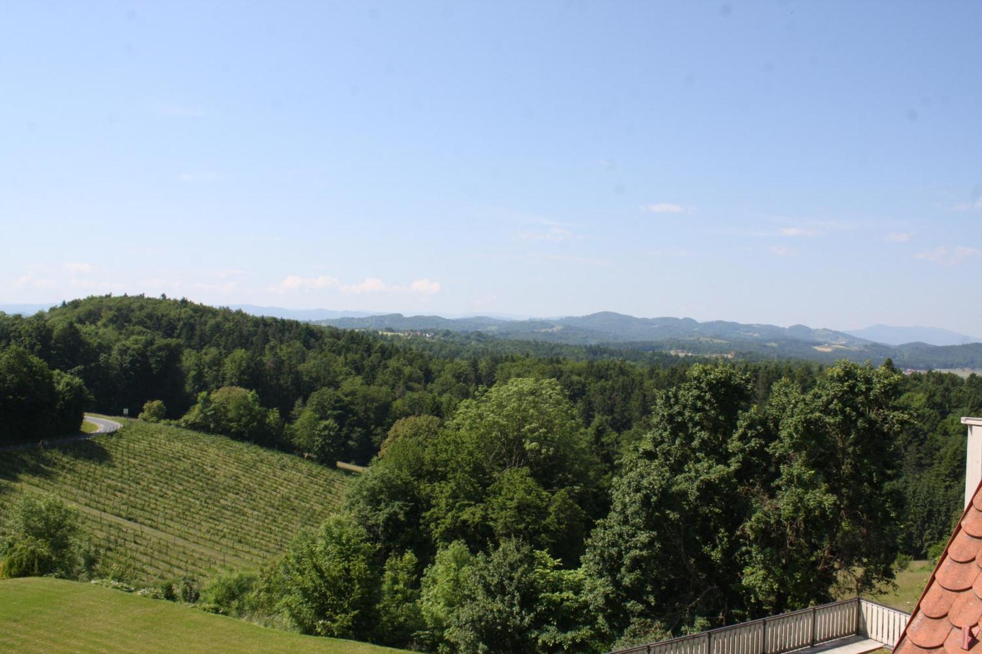 Hotel Garni Am Seggauberg Leibnitz Zewnętrze zdjęcie